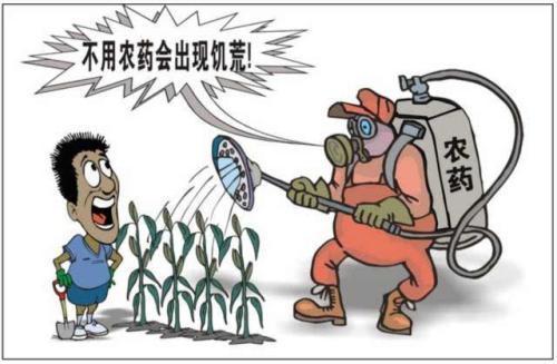 為什么蕹菜的農殘含量高大局？