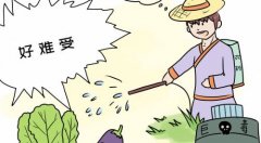 農(nóng)殘檢測儀競爭激烈！食品安全檢測中不可少的一環(huán)