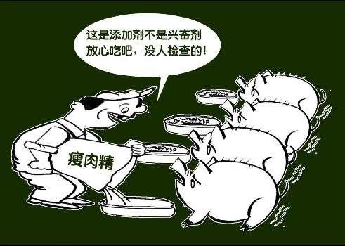 土雞蛋一天攝入多少合適規則製定？