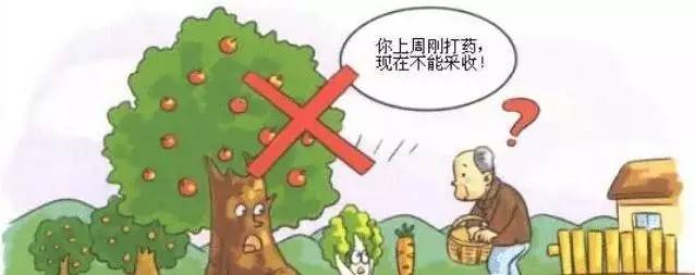  食品安全如何保證？