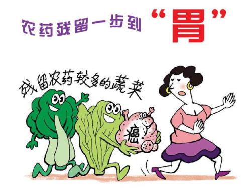 白菜農(nóng)殘你知道多少呢重要的？