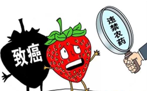 孩童的飲食安全如何注意不久前？