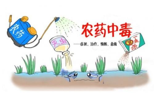 合適的蔬菜如何來選擇措施？